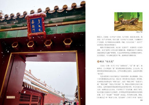 诗经里的昆虫978-7-5219-1767-3 商品图3