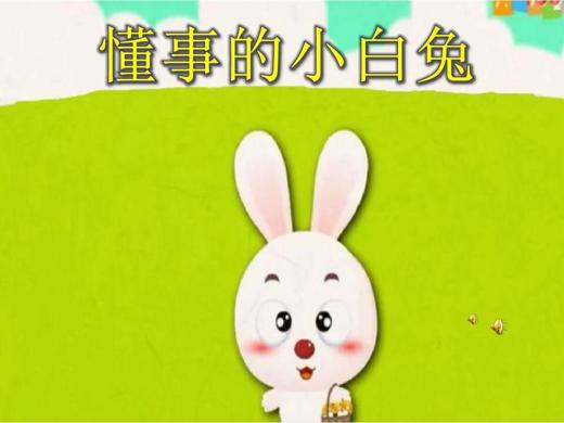 懂礼貌的小白兔 商品图0