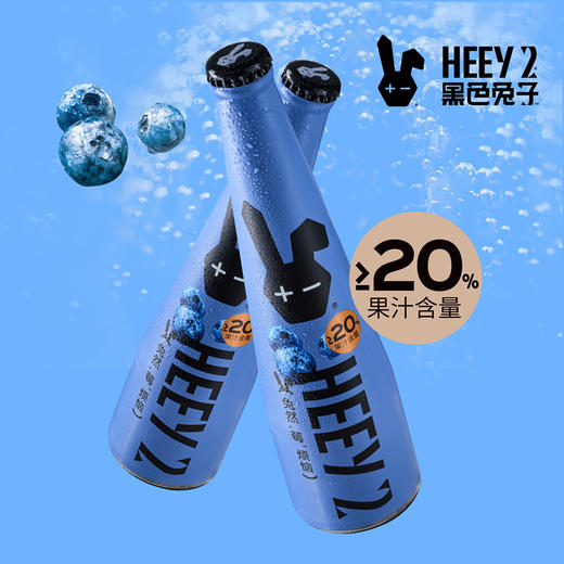 Reberg莱宝精酿啤酒 蓝莓味307ml*4瓶啤酒果味啤酒新品 商品图4