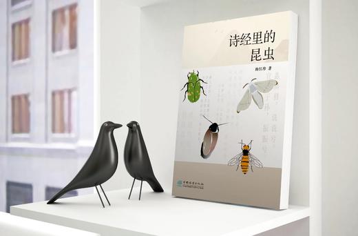 诗经里的昆虫978-7-5219-1767-3 商品图10