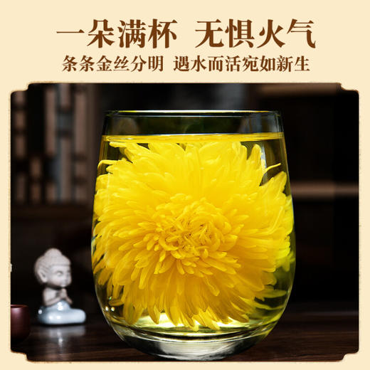 同仁堂（TRT）金丝皇菊花茶 一朵一杯大朵菊花特级养生茶泡水喝的花草茶叶30g 商品图7