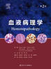 血液病理学（第2版） 2023年2月参考书 9787117337328 商品缩略图1