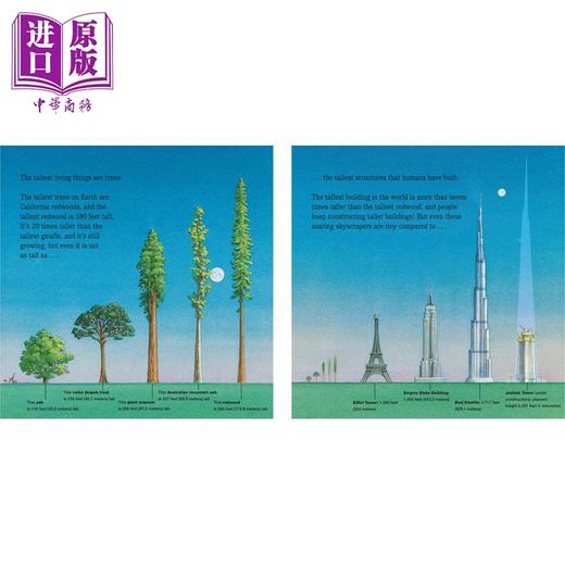 【中商原版】Jason Chin:Your Place in the Universe 你在宇宙的位置 英文原版 进口图书 儿童绘本 故事图画书 商品图3