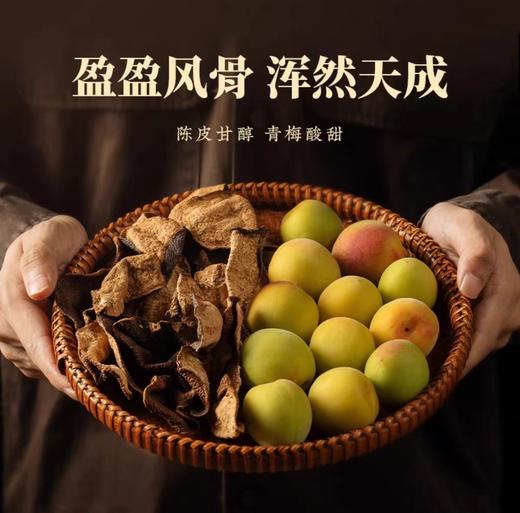 15度梅见10年陈皮梅酒750ML 商品图3