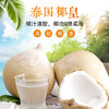 🥥泰国🇹🇭奶香椰皇/椰青 · 甜度高 · 椰香味浓郁 /顺丰全国除偏远 商品缩略图4