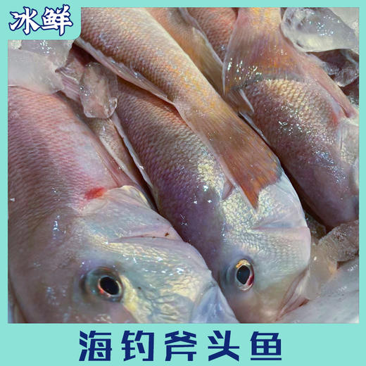 东海斧头鱼 商品图1
