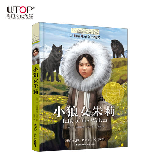 小狼女朱莉    明亮的日子    五年级共读套装正版现货速发|名师推荐|小学生课外阅读5年级 商品图1