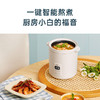 【BRUNO】智能复古小饭煲BZK-D02 商品缩略图1