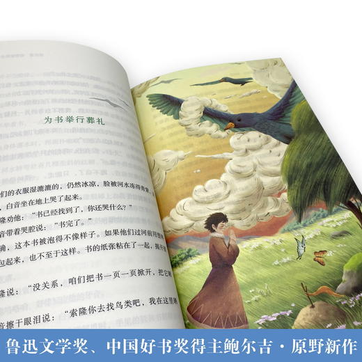 翡翠地   六年级共读书正版现货速发|名师推荐|小学生课外阅读6年级课外读物 商品图1