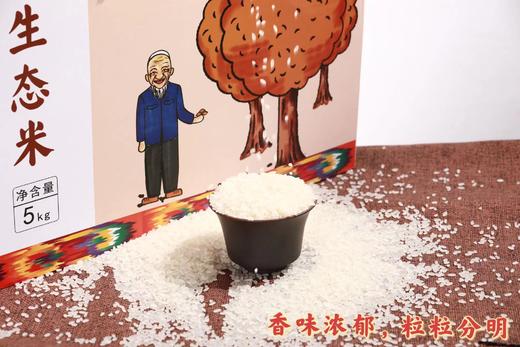 新疆喀什大米、生态米5KG 商品图4
