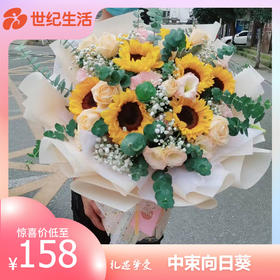 七夕专属.中束向日葵【KM】