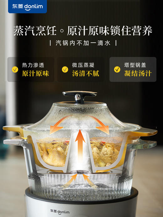 东菱蒸汽锅家用煲汤隔水炖盅多功能蒸煮锅电炖锅 心选到家 商品图1