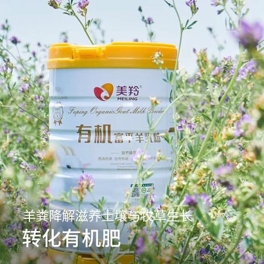 【新品上市】美羚成人有机富平羊乳粉400g 罐装羊奶粉 商品图2
