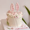 兔耳朵裱花蛋糕（兔子玩偶造型随机）-低糖处理无添加 商品缩略图1