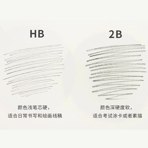 【洞洞定位，纠正握姿】 学玺小松鼠洞洞笔铅笔小学生2B三角杆HB无铅无毒幼儿童幼儿园用纠正初学者三角杆一年级练习写字洞洞笔 商品图3
