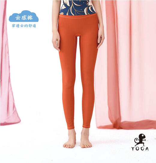 壁虎瑜伽【云感裤】超高弹纯色瑜伽裤【2月20日发货】 商品图4