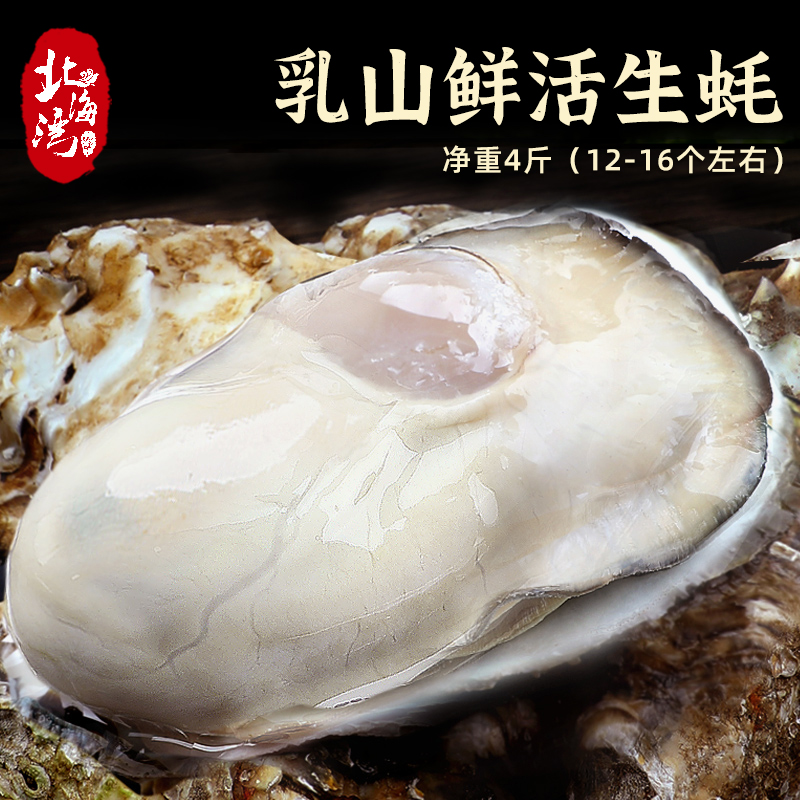 【北海湾】乳山生蚝鲜活海蛎子4斤装（3-4个/斤，实惠好吃）
