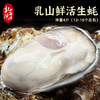 【北海湾】乳山生蚝鲜活海蛎子4斤装（3-4个/斤，实惠好吃） 商品缩略图0