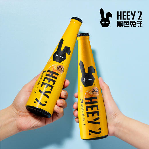 Reberg莱宝精酿啤酒 芒果307ml*4瓶啤酒果味啤酒新品 商品图3