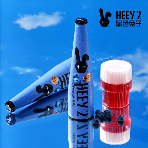 Reberg莱宝精酿啤酒 蓝莓味307ml*4瓶啤酒果味啤酒新品 商品图1