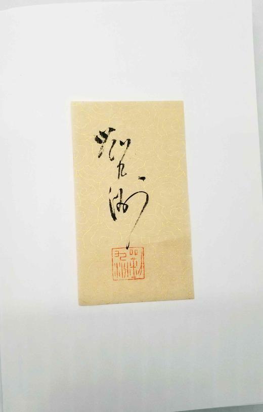 限量毛边+签名+钤印本：《欧美观画记》，精装，16开，刘九洲著，浙江人民美术出版社2022年版，221页，定价128，售价128元。 商品图5