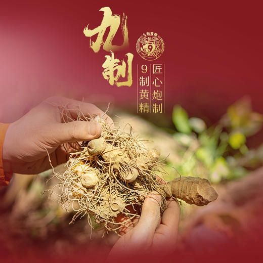 2.5L50度劲牌家方黄精酒 商品图2