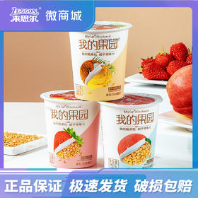 来思尔我的果园风味果粒酸奶 150g*12杯