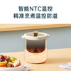 【BRUNO】智能复古小饭煲BZK-D02 商品缩略图4