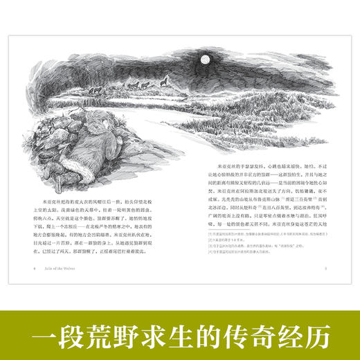 小狼女朱莉     五年级共读书正版现货速发|名师推荐|小学生课外阅读5年级课外读物 商品图1