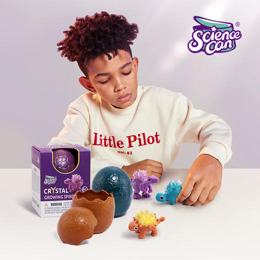 科学罐头 水晶生长恐龙(器材独立包装，配备齐全，到手就能玩) 商品图0