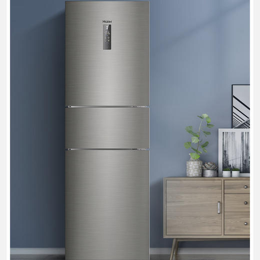 海尔（Haier）冰箱BCD-218WDPD 商品图2