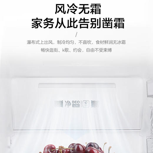 海尔（Haier）冰箱BCD-218WDPD 商品图11
