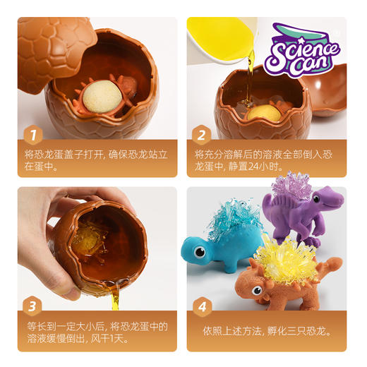 科学罐头 水晶生长恐龙(器材独立包装，配备齐全，到手就能玩) 商品图2