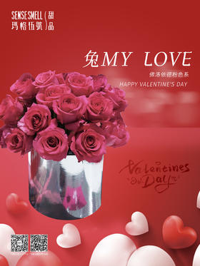 兔my love 情人节花束——佛洛依德粉色系（20枝）