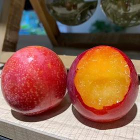 进口樱桃李  约500g/份