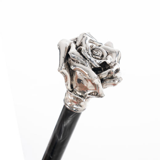 PASOTTI/葩莎帝 直柄晴雨伞 WLX66 商品图2