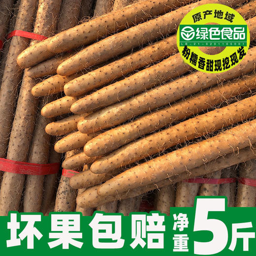 蠡人蠡品小白嘴山药新鲜40cm+绿色食品蠡县麻山药新鲜净重5斤 商品图0