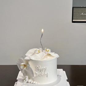 蝴蝶兰 一鲜奶动物奶油蛋糕