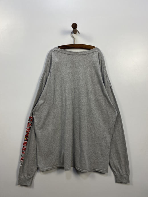 Champion 冠军 塞基诺州立大学 长袖T恤 _SLT(2XL) 商品图4