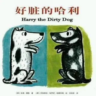 好脏的哈利 商品图0