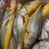风味大黄鱼 商品缩略图2