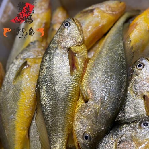 风味大黄鱼 商品图2