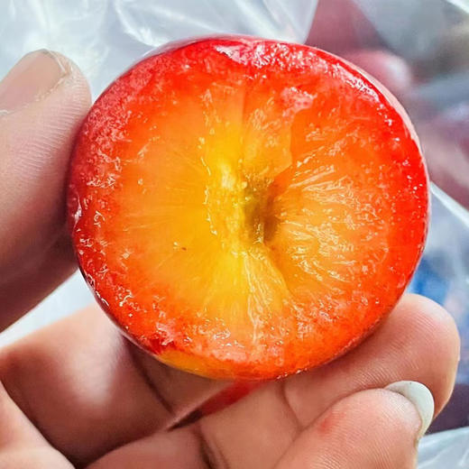 进口樱桃李  约500g/份 商品图2