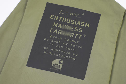 卡哈特联名MD 爱因斯坦相对论 长袖衬衫 Z-10220 商品图9