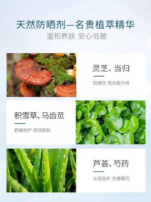 二店7y 自用无数个 韩国防晒霜No.1,香蒲丽 【60ml】 商品图12