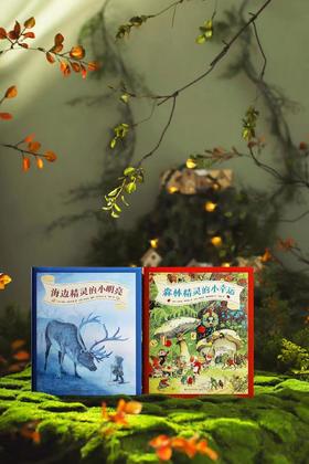 收藏四季的好运古典精灵童话集：森林精灵的小幸运+海边精灵的小明亮