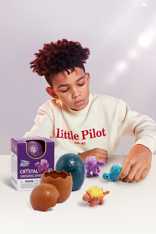 科学罐头 水晶生长恐龙(器材独立包装，配备齐全，到手就能玩) 商品图4