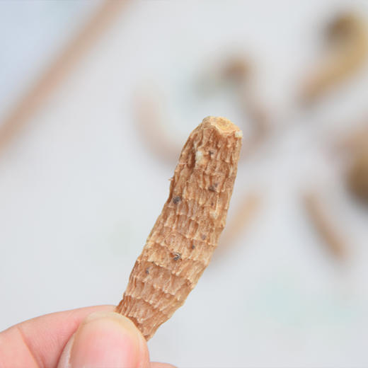 长白山有机野生天麻（净重200克/罐） 商品图4