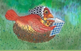 鸡在晚上看不见