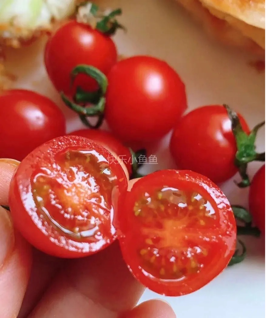 攀枝花小西红柿 千禧圣女果 番茄净重5斤  顺丰到家